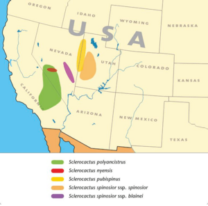 Archivo:Sclerocactus map