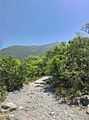 Sendero principal del Cerro de la Silla