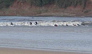 Archivo:Surfers riding the Severn Bore - geograph.org.uk - 369764