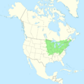 Tilia americana range map