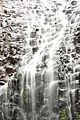 Tristania Falls