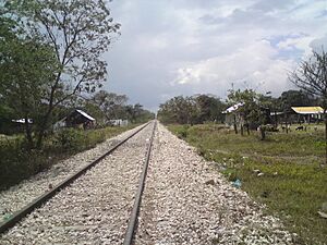 Archivo:Vías del Ferrocarril
