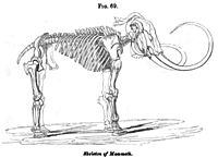 Archivo:Vestiges 10 Fig 69 Skeleton of Mammoth