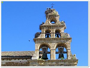 Archivo:Villamartin de campos 022 (espadaña de la iglesia)