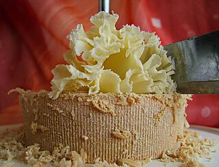 2008-02-22TetedeMoine02.jpg