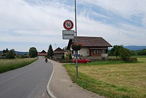 Archivo:2012-05-26-Seeland (Foto Dietrich Michael Weidmann) 216