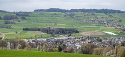 20230422 Triengen-2.tif