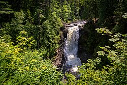 3Q6A3409 (15733758399).jpg