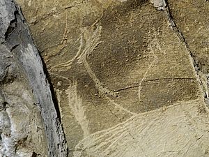 Archivo:Altxerri cave - Antelope