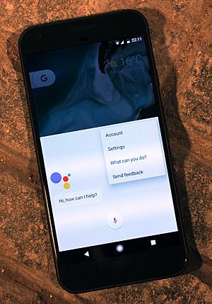 Archivo:Android Assistant on the Google Pixel XL smartphone (29526761674)