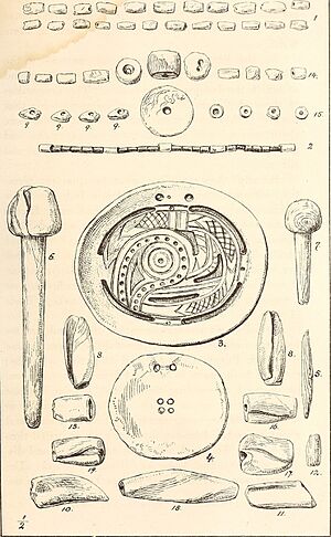 Archivo:Antiquities of the southern Indians, particularly of the Georgia tribes (1873) (14777393065)