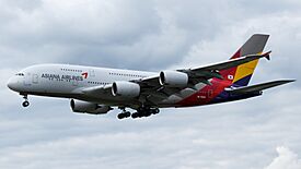 Asiana Airlines Airbus A380-800 (HL7626) at Frankfurt Airport.jpg