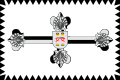 Bandera de Gallegos de Solmirón.svg