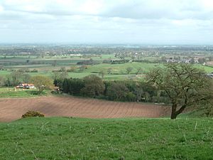 Archivo:Beeston Walk - 10th April 2005 (16)