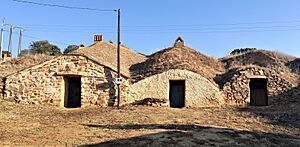 Archivo:Bodegas de Sitrama