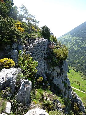 CASTELL DE PEGUERA - FÍGOLS - IB-250.JPG