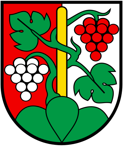 CHE Oberhofen am Thunersee COA