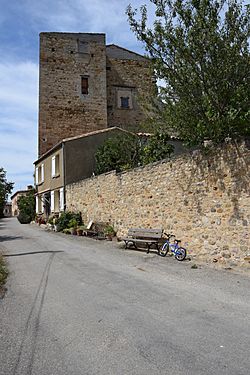 Castle of Saint-Ferriol002.JPG