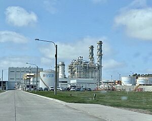 Archivo:Central Punta del Tigre