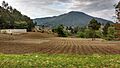 Cerro de sija con siembras