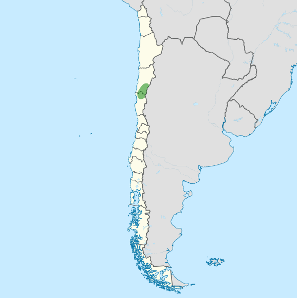 Chilicola charizard Distribution