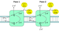 Complex III reaction-es
