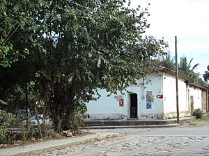 Archivo:Copoya, 2009