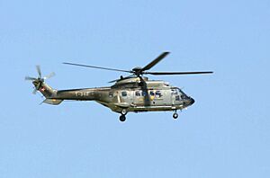 Archivo:Cougar heli ag1