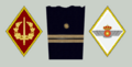 Cuerpos de Intervención militares