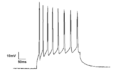 Current Clamp recording of Neuron