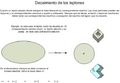 Decaimiento lepton