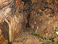 Dentro de la cueva del leon
