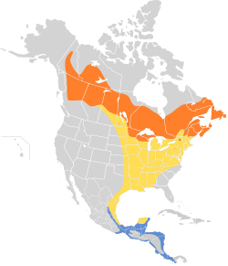 Distribución geográfica del mosquero ventriamarillo.