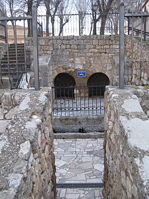 Archivo:FUENTE DE SAN JUAN DE BAÑOS 1