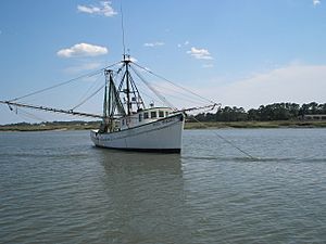 Archivo:Fishing Boat