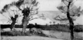 Florence Esté, November
