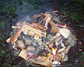 Fuego para curanto-1