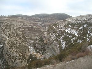 Archivo:Garganta del río de la Cañada (Cañada de Benatanduz, Teruel)