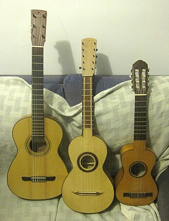 Guitarra, tenor y guitarro