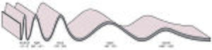 Archivo:Interlimb angles