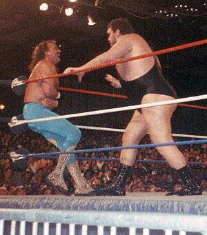 Archivo:Jake Roberts and Andre