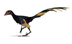 Archivo:Jinfengopteryx wiki