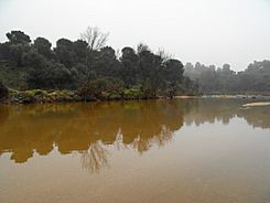 LLega la calma al río Arenoso.JPG