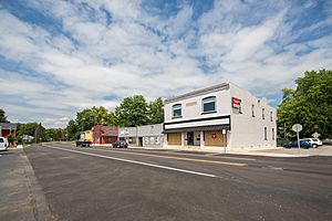 Archivo:Leo Cedarville, Indiana