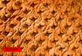 LepidodendronOhio