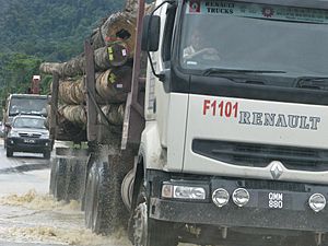 Archivo:Logging trucks in Sarawak