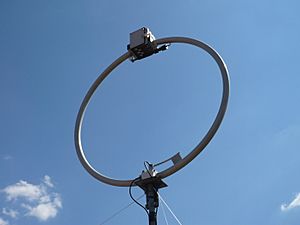 Archivo:Loop antenna