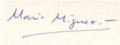 Mario Miguez signature