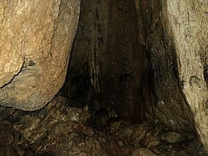 Archivo:Mawsmai Cave Meghalaya