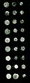 Mogadishan currency